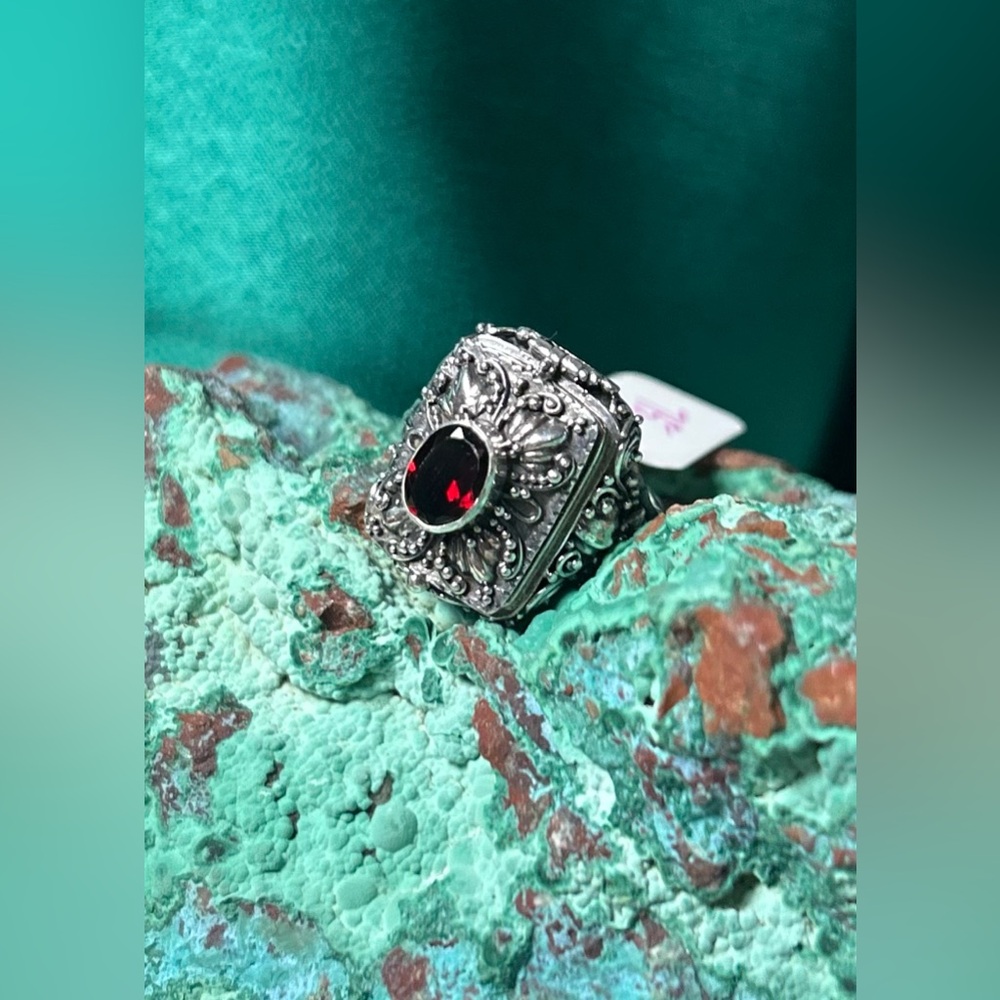 NWT Garnet & 925 Poison Ring